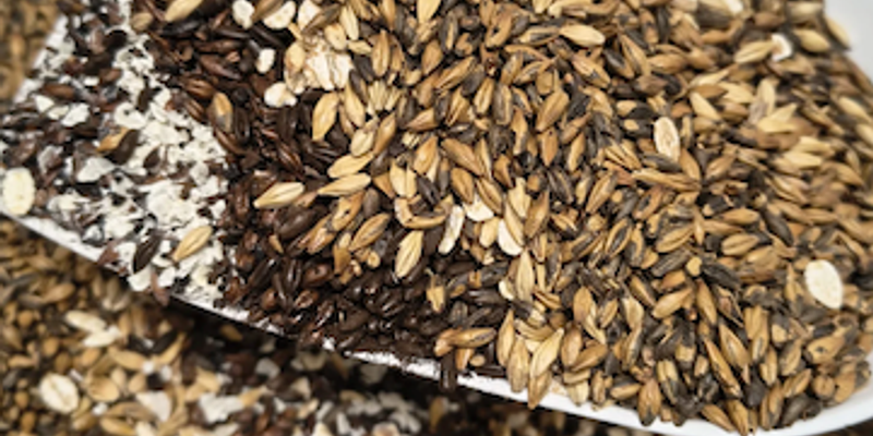 Scherm&shy;afbeelding 2025 12 08 Om 15.02.48