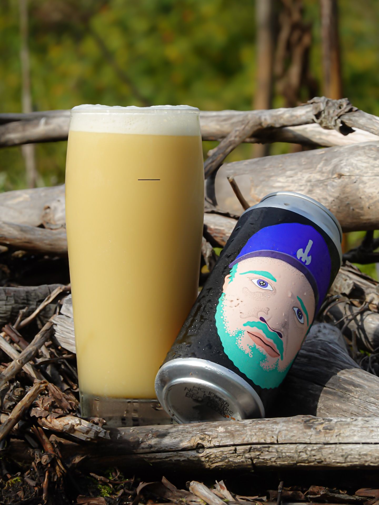 Omnipollo4